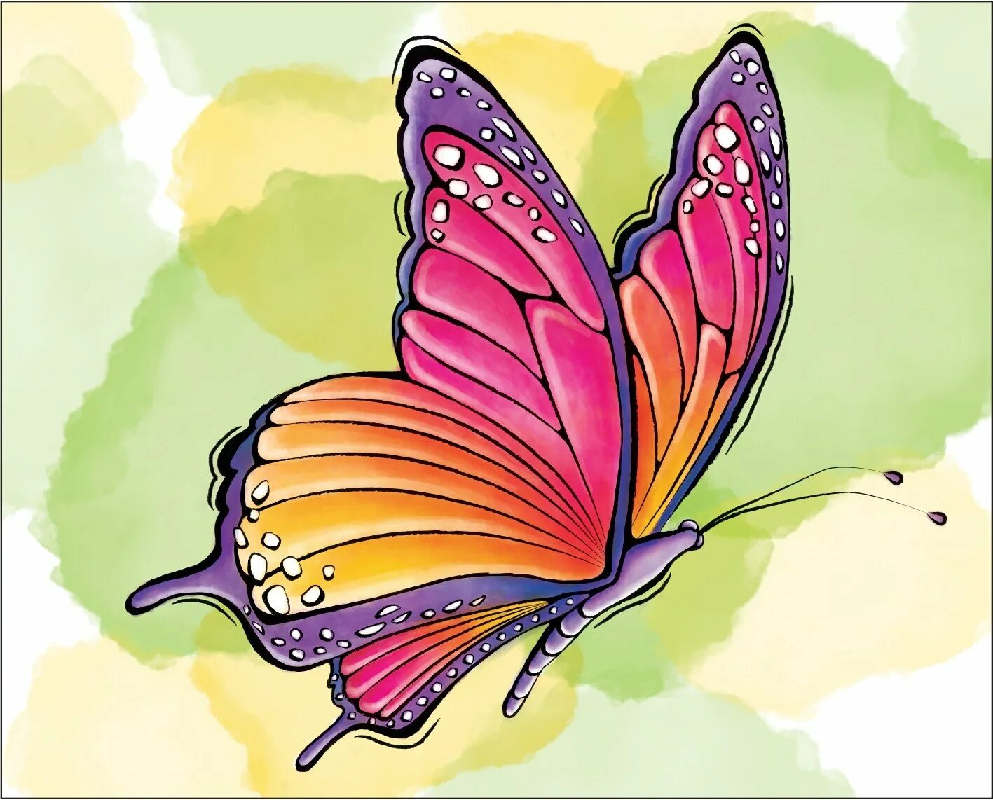 Бабочка рисунок. Яркие рисунки бабочки. Картина бабочки для детей. Бабочка цветными карандашами.