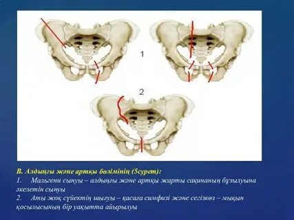 Оргазмнан кейін ұйықтағым келеді.