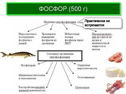 Фосфор содержится в тканях живых организмов