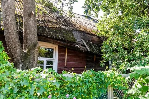 Д новая с абрамова д грушевка