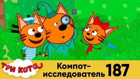 3 кота старше