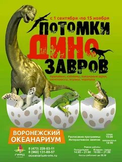 Океанариум воронеж расписание 2024