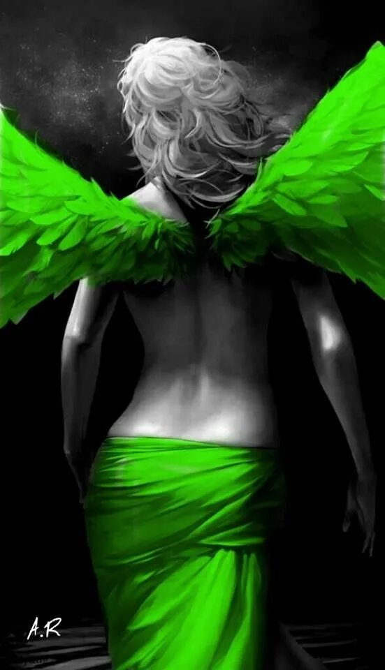 screen green free wings screen green cánh chim phông xanh - YouTube