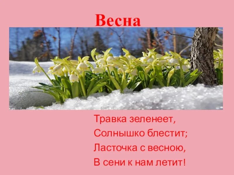 Плещеев травка. Травка зеленеет солнышко блестит Ласточка. Травка зеленеет солнышко блестит Ласточка с весною в сени к нам летит. Травка зеленеет солнышко полностью