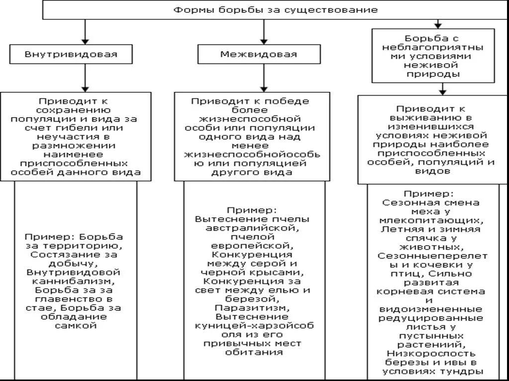 Формы борьбы за существование. Формы борьбы за существование таблица с примерами. Внутривидовая форма борьбы за существование примеры. Биология формы борьбы за существование таблица. Формой внутривидовой борьбы за существование является.