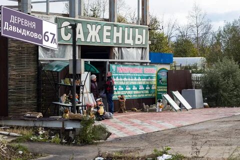Садовый дворик интернет
