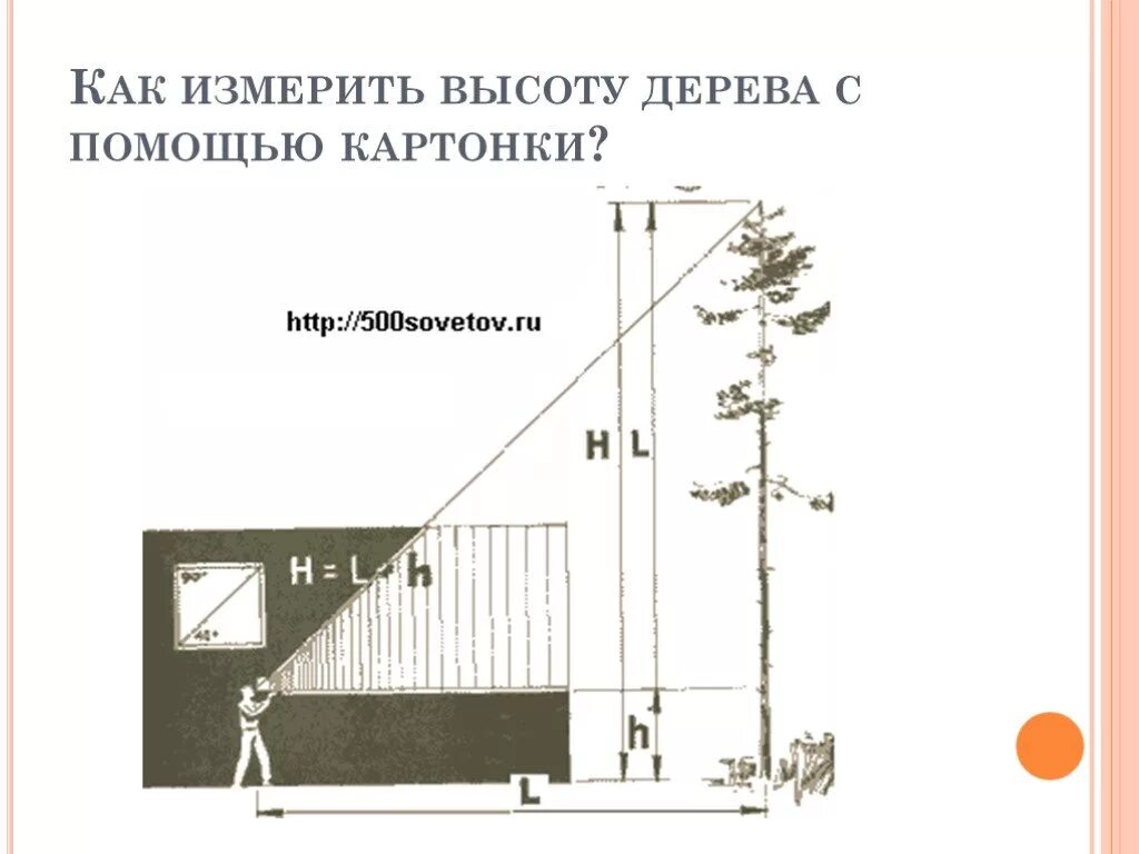 Мерить высоту. Измерение высоты дерева. как измерить высоту здания. как мерить высоту. способы измерения высоты дерева.