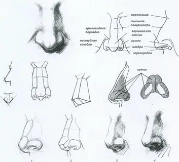 Рисунки стр