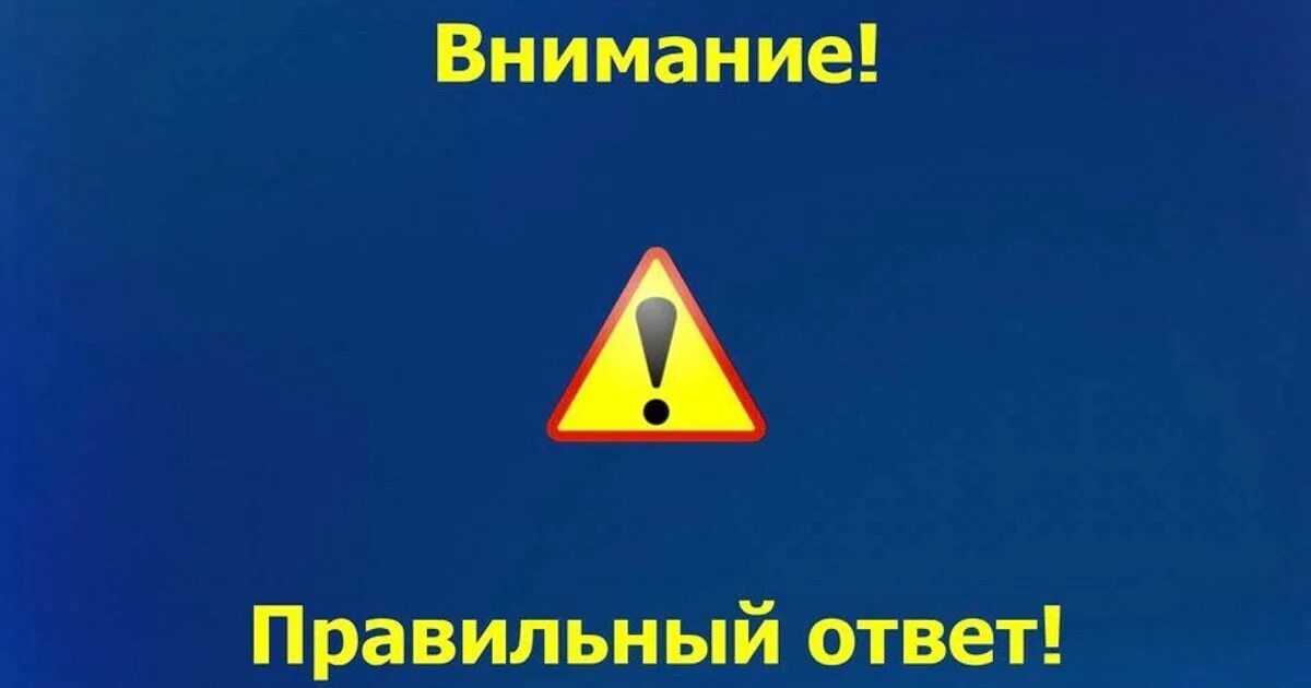 Надпись осторожно мошенники. Внимание на том что правильное. Внимание правильный ответ. Внимание на том что правильное. Внимание важно.