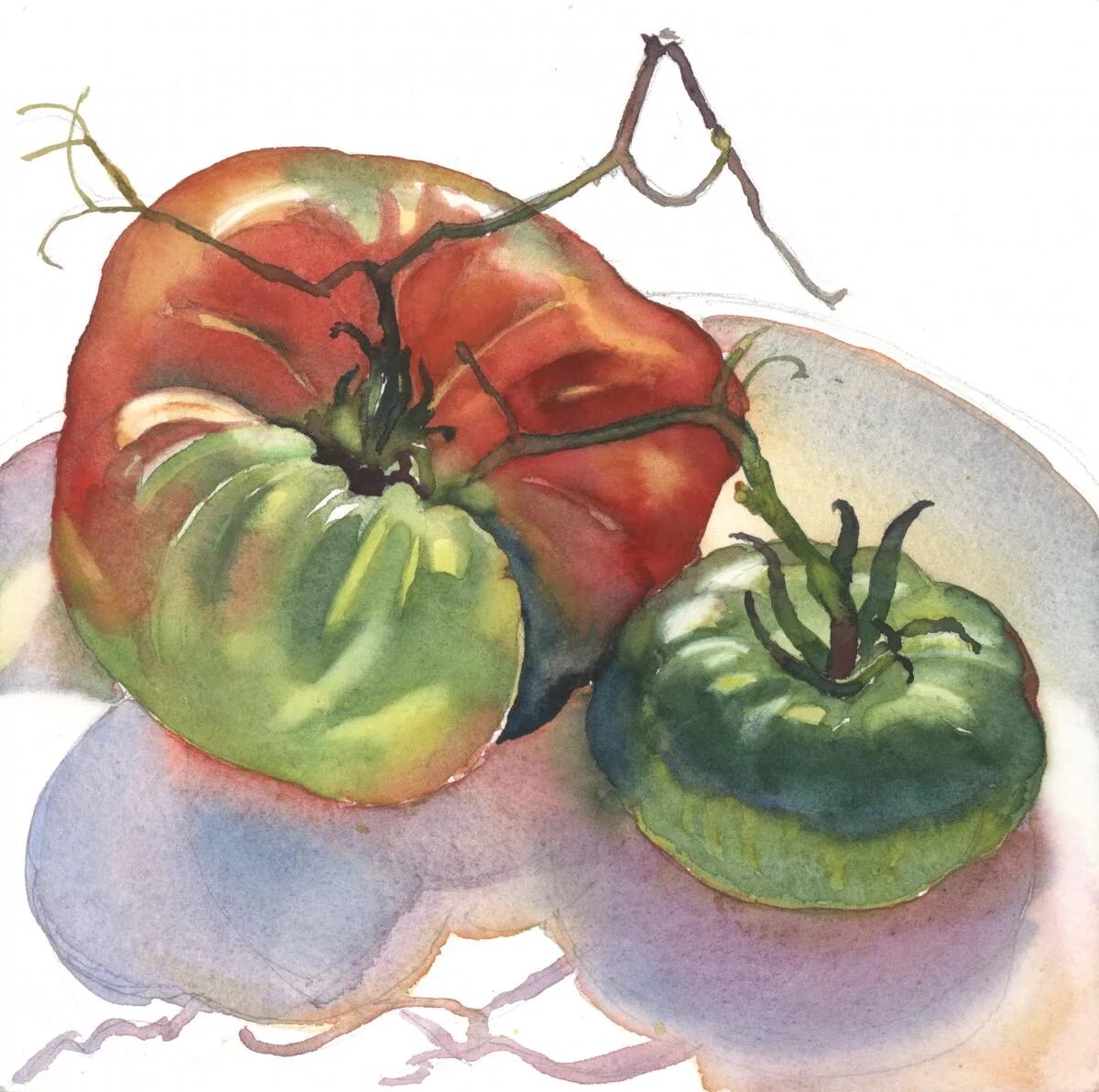 фрукты и овощи акварелью. помидоры акварель. помидоры акварель. помидоры акварель. натюрморт акварелью помидор.