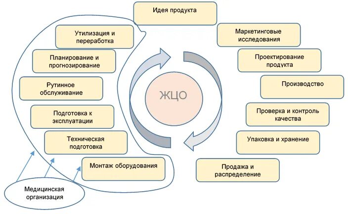 Жизненный цикл медицинского оборудования. Зона ответственности. Зоны ответственности сотрудников. Жизненный цикл медицинской организации.