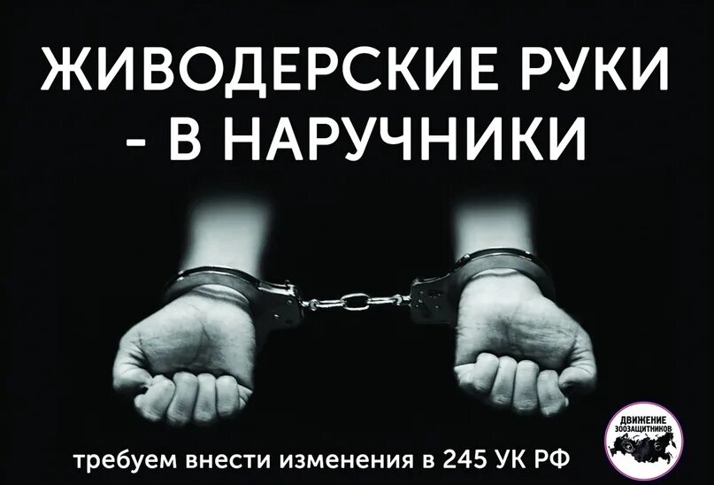 Живодерство статья ук. Живодерство статья ук. Статья 245 уголовного кодекса. Живодерство статья ук. Живодерство статья ук.