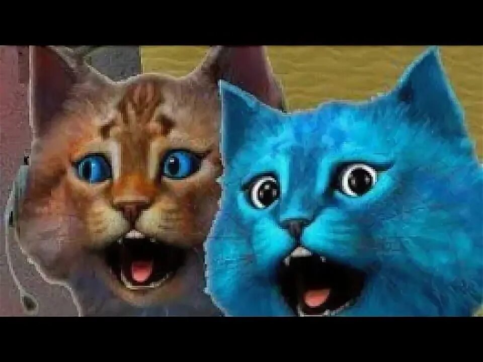 Котика лайка и котика игромана. Котенок лайки котик Игроман. Синий котик лайк.