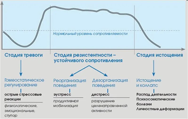 Стадии развития стресса по г Селье. Три фазы стресса Селье. Фазы и стадии стресса в психологии. Три стадии стресса Ганса Селье.