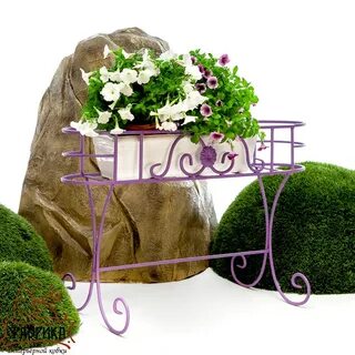 Счастливый амулет цветочница гл 32