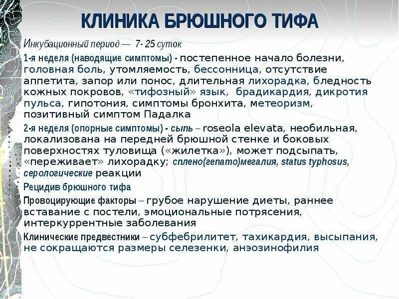 Брюшной тиф период разгара клиника. Клинические проявления брюшного тифа. Ранние клинические признаки брюшного тифа.