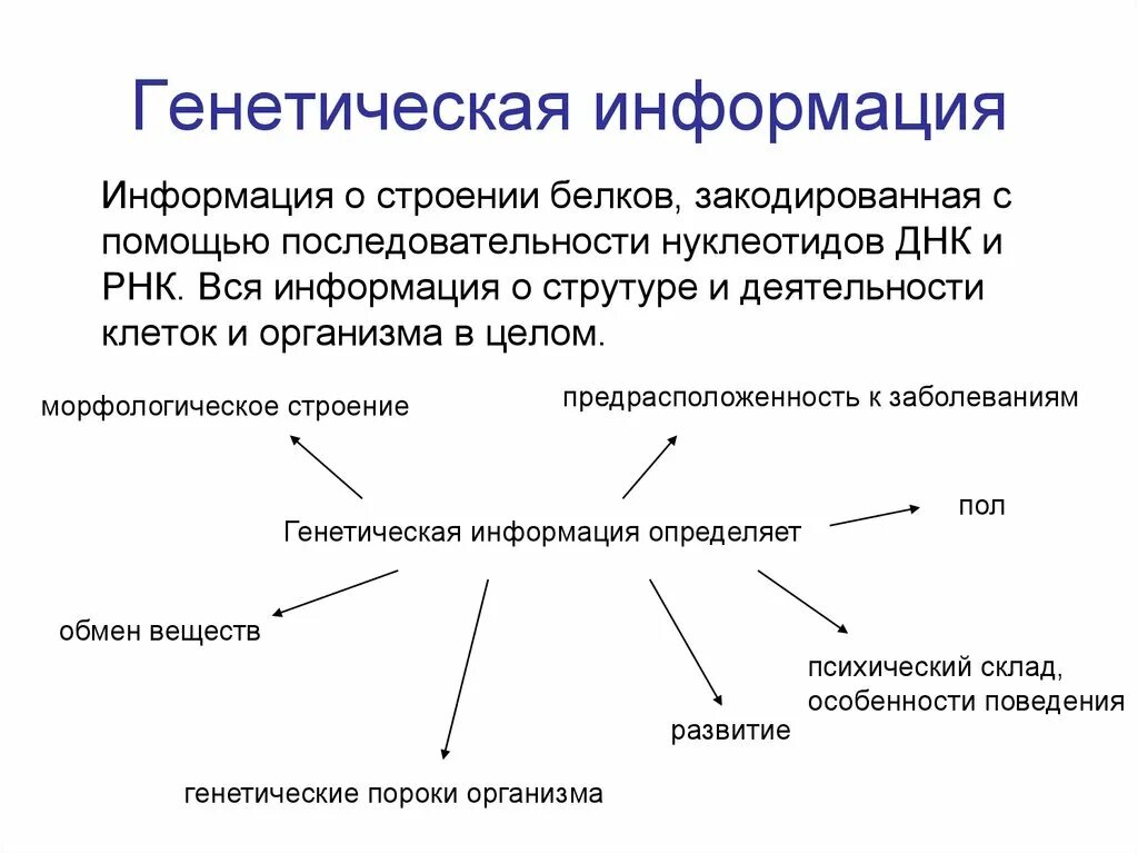 Реализация наследственной клетки. Генетическая структура схема. Генетическая информация. Наследственная информация. Генетика информация.