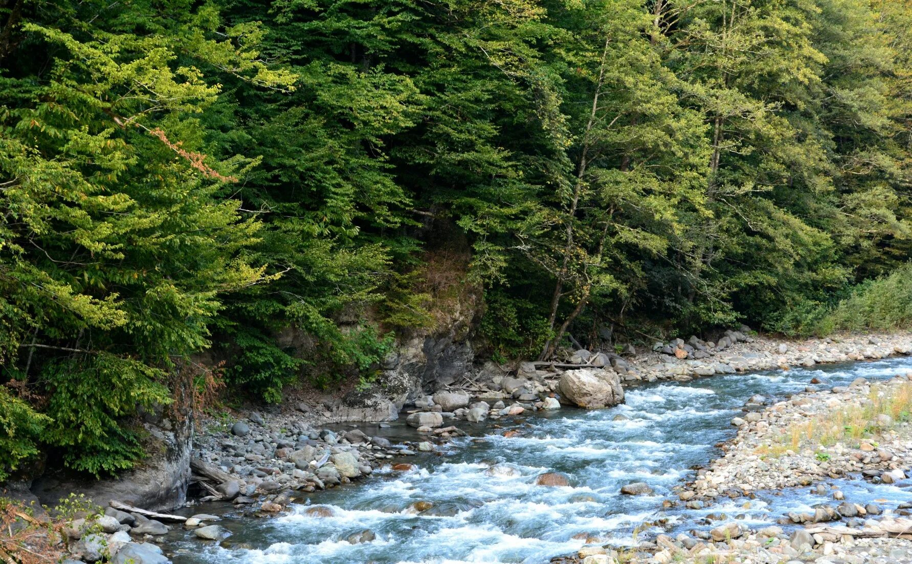 река малая лаба краснодарский край. русло горных рек крыма. фото рек краснодарского края. красная поляна речка. река горная кубань краснодарский край.