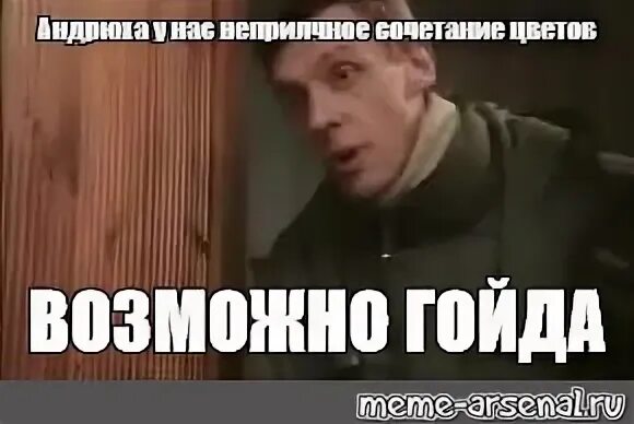 Гойда мем