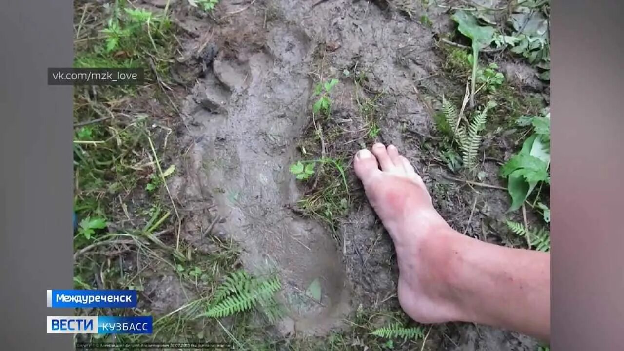 Отпечаток следа снежного человека. Следы снежного человека фото.