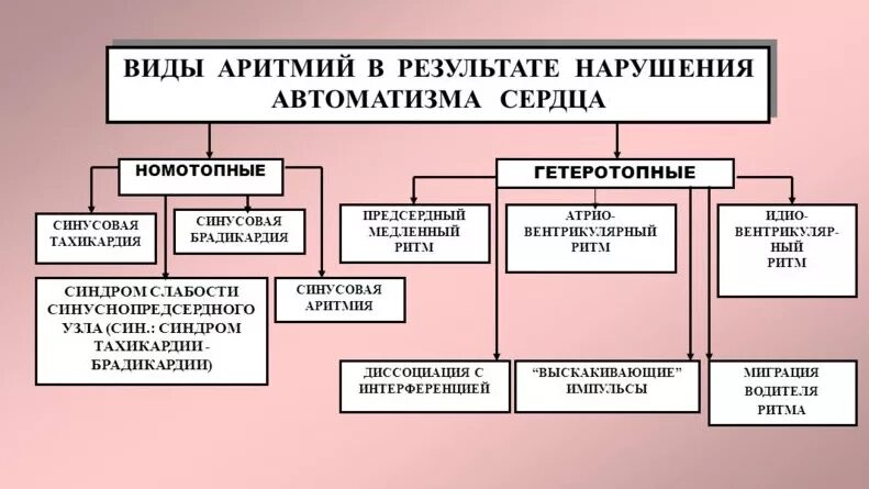 Виды сердечной аритмии