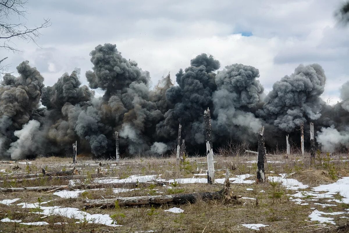 В представленном полигоне