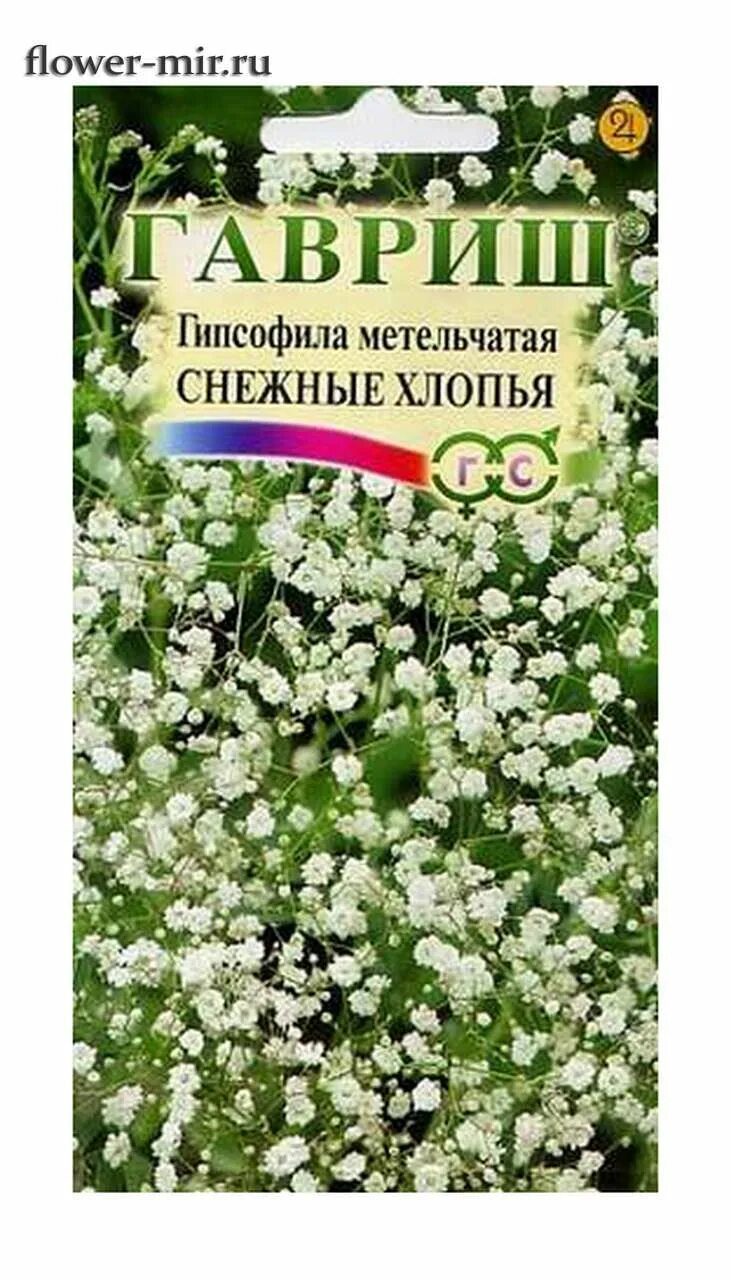 Гипсофила метельчатая махровая белая 0,1 г Гавриш. Гавриш гипсофила метельчатая снежные. Гавриш гипсофила метельчатая махровая. Гипсофила метельчатая семена. Снежные хлопья цветы