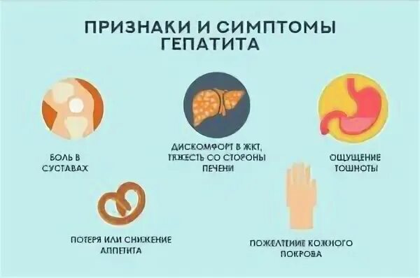 Можно ли заболеть гепатитом с. Можно ли заболеть гепатитом с