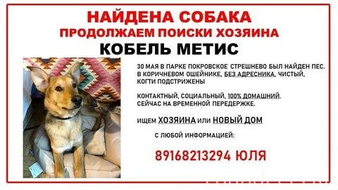 Хозяин найдись