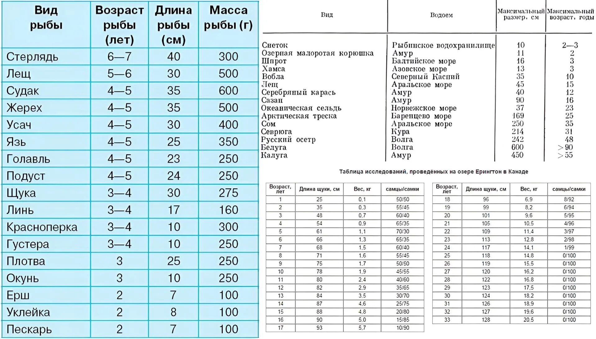 Объем рыбы в кг