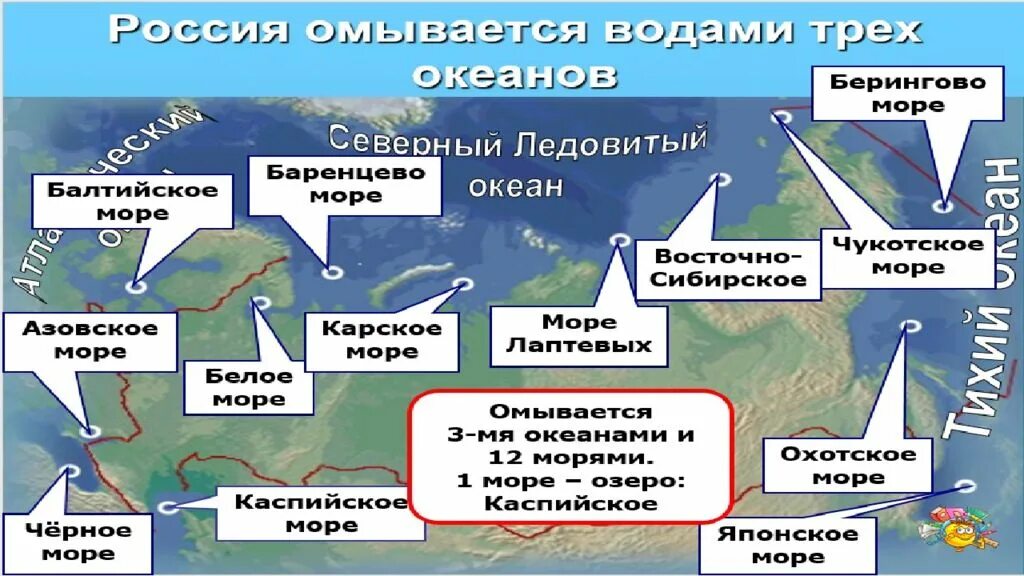 Какие моря берега россии
