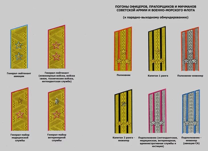 Парадные погоны. Парадные военные погоны. Парадные погоны Министерство обороны. Погоны прапорщиков и мичманов. Приказ мо о ношении военной формы