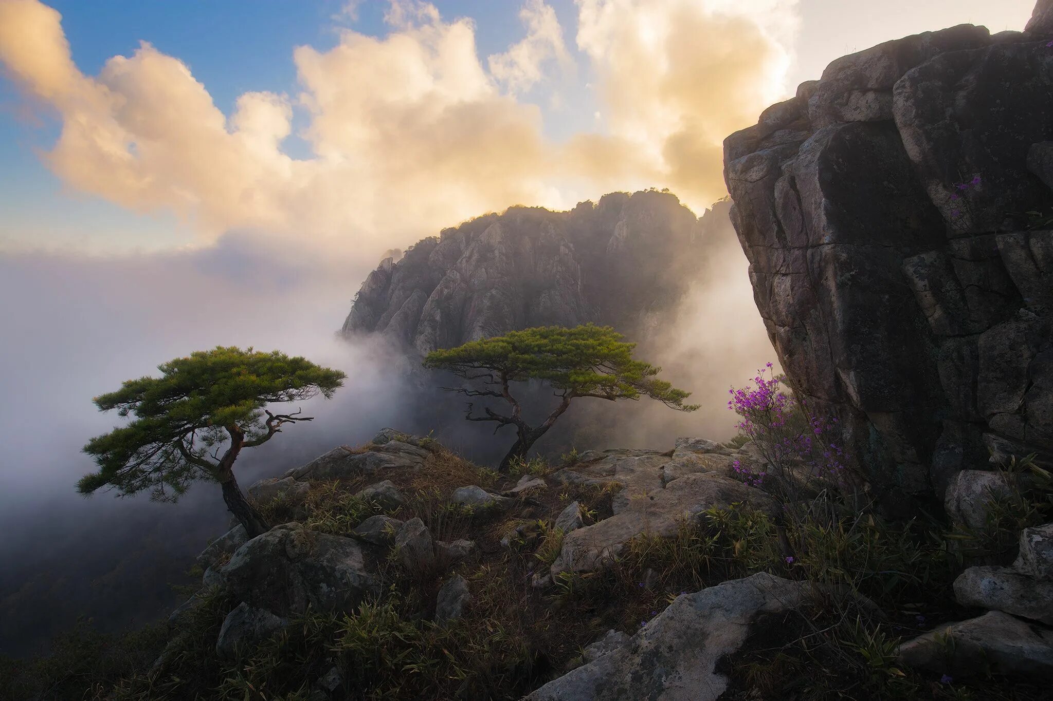 The cliff 4. Скала Чхонню Корея. Корейская сосна Южной Кореи. Гора-Клифф.