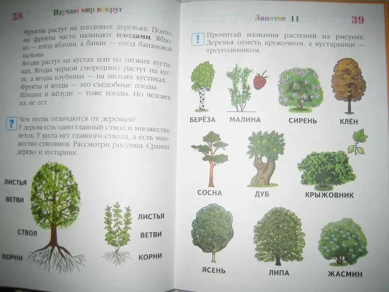 Мир вокруг 6 7. Егупова изучаю мир вокруг для детей 5-6 лет. Изучаю мир вокруг для детей 5-6 лет часть 1. Изучаю мир вокруг 5-6 лет занятие 4. Ломоносовская школа. Изучаю мир вокруг: для детей 6-7 лет.