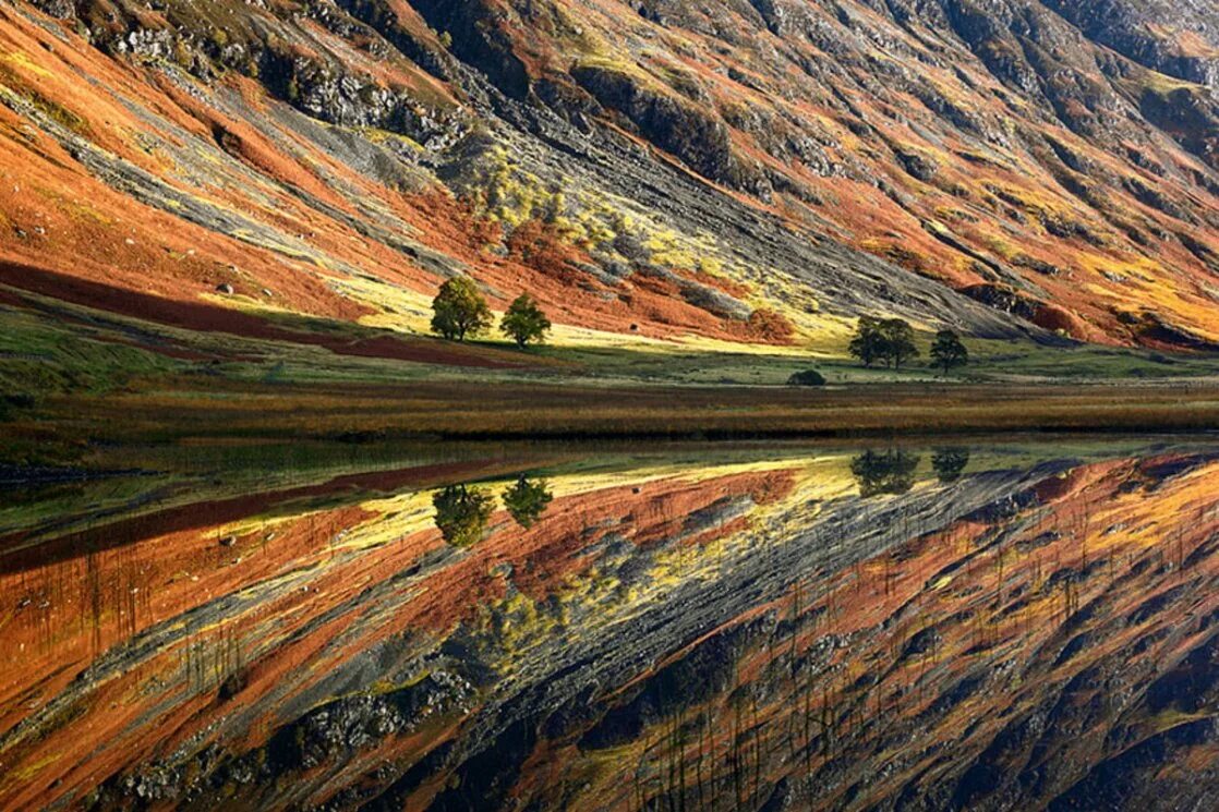 Целый уникальный. Река Ливет Шотландия. Шотландия невероятные пейзажи. Необычные природные ландшафты. Редкая природа.