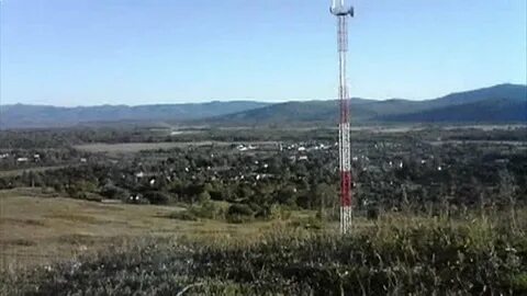 Погода бира еао 10 дней