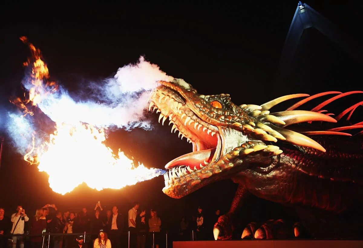 Как выглядит реальный дракон How to Train Your Dragon Live Spectacular How train your dragon, How to train yo