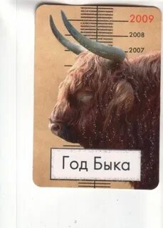 Бык хороший год