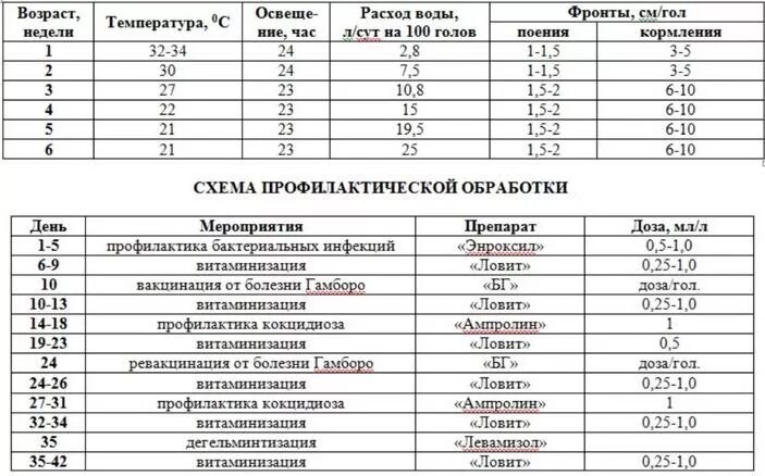 Схема пропойки индюшат с первых дней жизни. Схема пропойки цыплят бройлеров с первых дней. Схема выпаивания цыплят бройлеров антибиотиками. Схема пропойки бройлерных цыплят. Ветом для бройлеров инструкция по применению цыплят