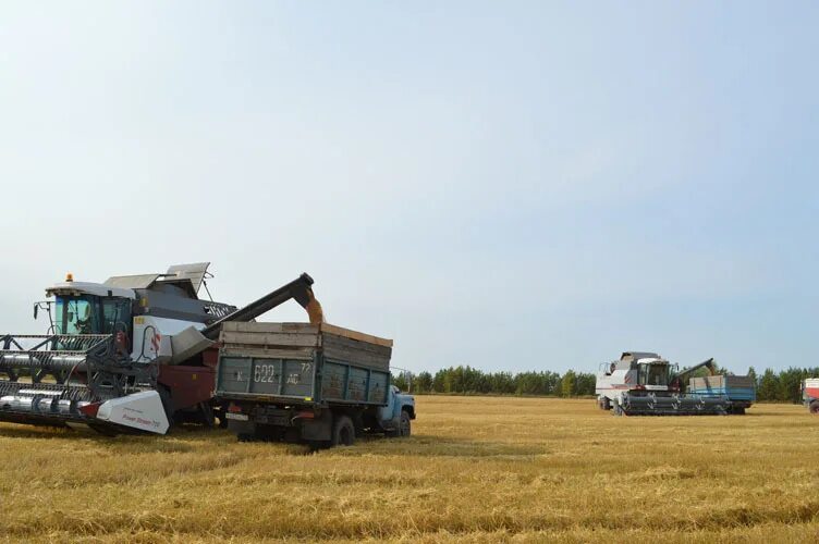 Армизон. Газета армизонский вестник. Армизонский. С армизонское парк юбилейный. Дтп армизонский район 2022.