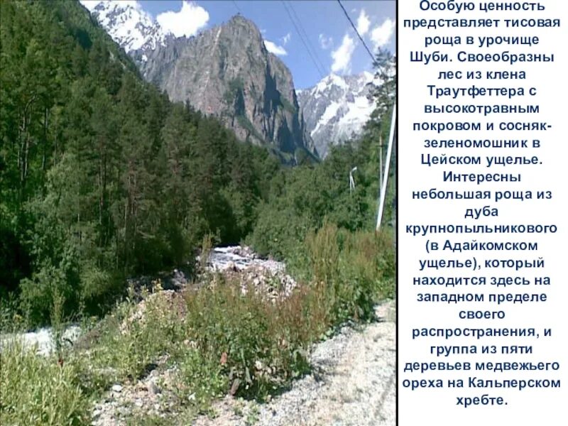 Особую ценность представляет