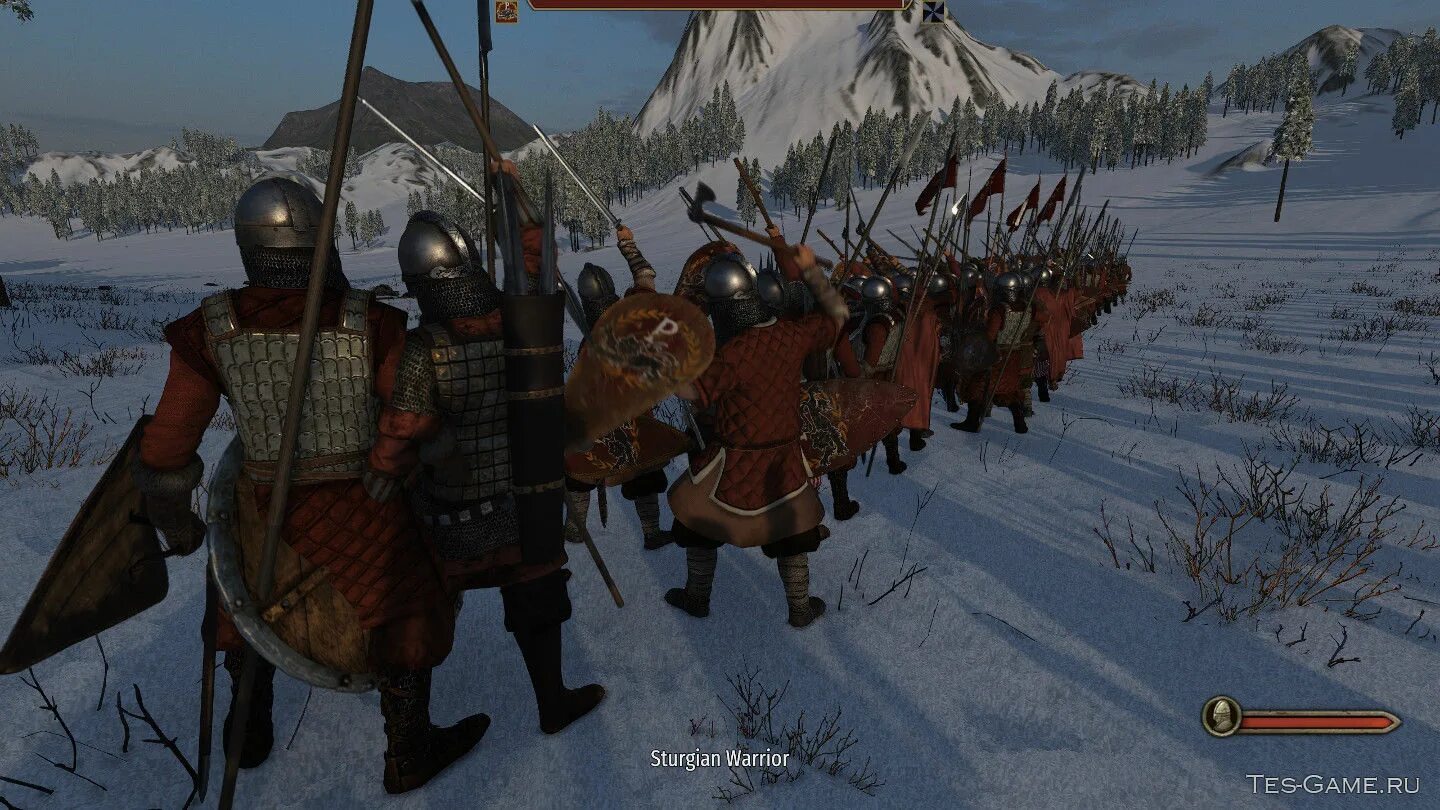 Mount and blade 2 фракции. Mount and blade 2 bannerlord sturgians. mount and blade 2 bannerlord rusich. маунт энд блейд 2 фракции. bannerlord 2 фракции.