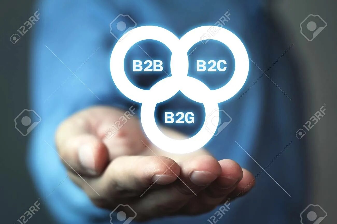 B2g бизнес. B2g примеры компаний. B2g. Иконки b2b b2c. B2b b2g.