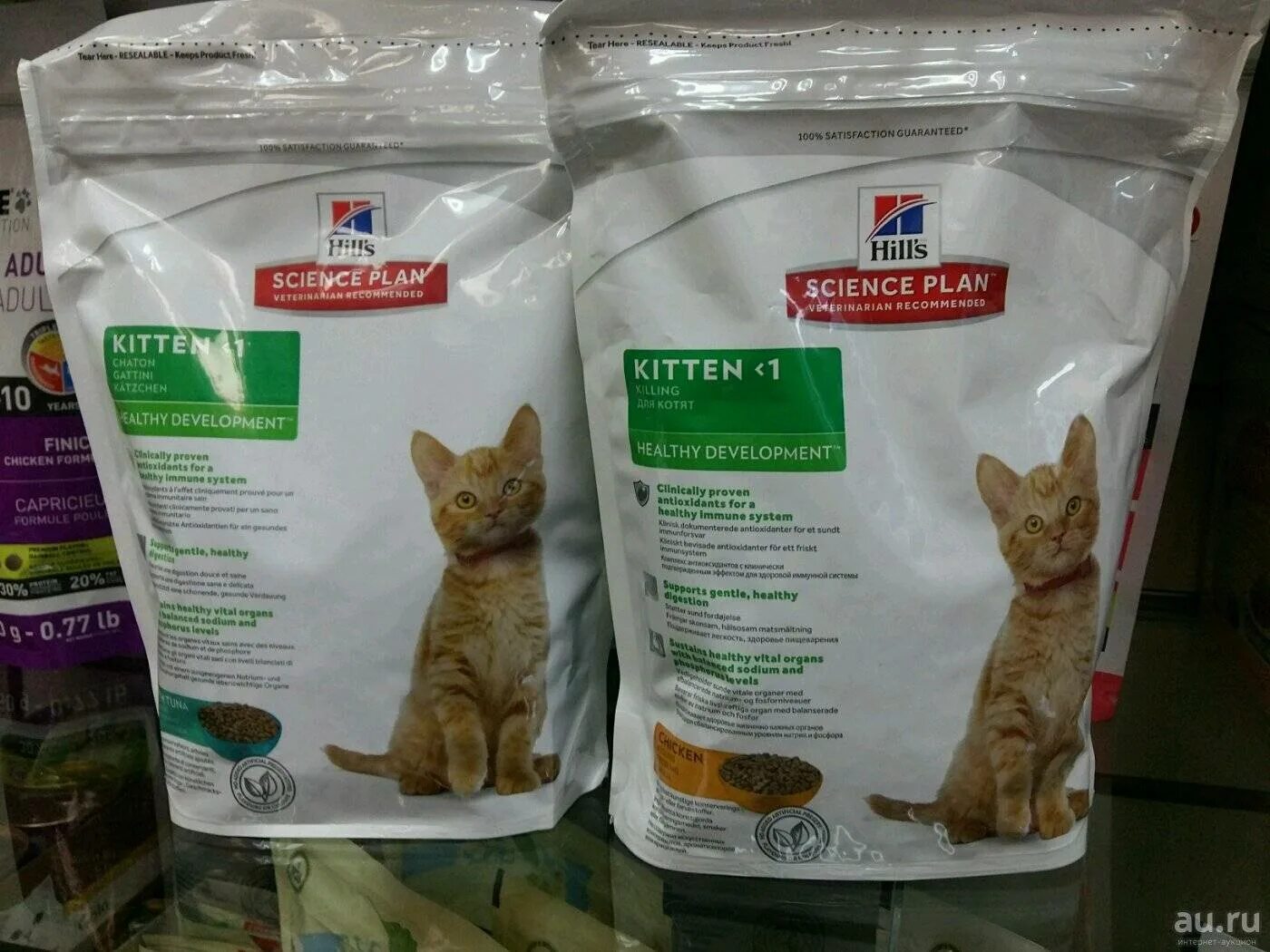 Можно кормить котят сухим кормом. Корм для кошек. Корм для котят. Натуральная еда для кастрированных котов. Самые натуральные корма для кошек.