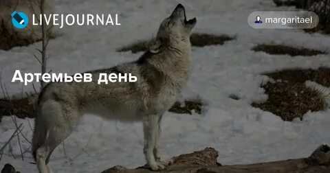 Артемьев день 2