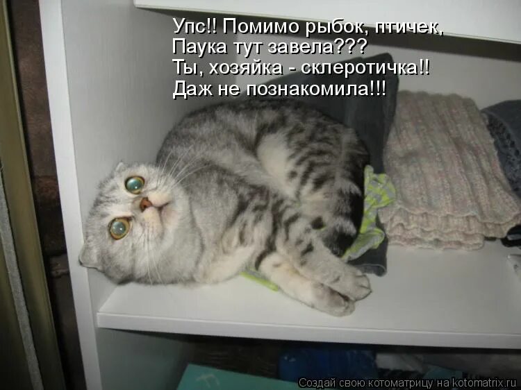 Стихотворение про утюг. Гладила и тут. Гладила и тут. Стих про глажку утюгом. Девочка забыла про включенный утюг.