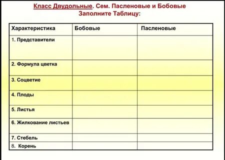Сравнительная таблица класс двудольные