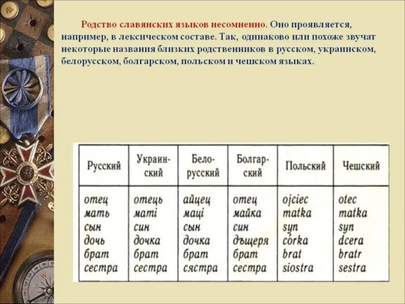 Родство славянских языков. Схожесть славянских языков. Общие слова в славянских языках. Схожие слова в славянских языках.