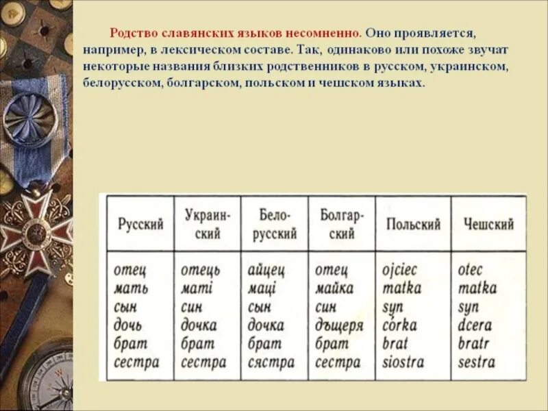 Схожесть славянских языков. Общие слова в славянских языках. Схожие слова в славянских языках. Родство славянских языков.