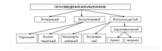 Алгоритм введения антибиотиков. Способы введения антибиотиков. основные пути введения антибиотиков. пути введения антибиотиков в организм. парентеральный способ введения антибиотиков.